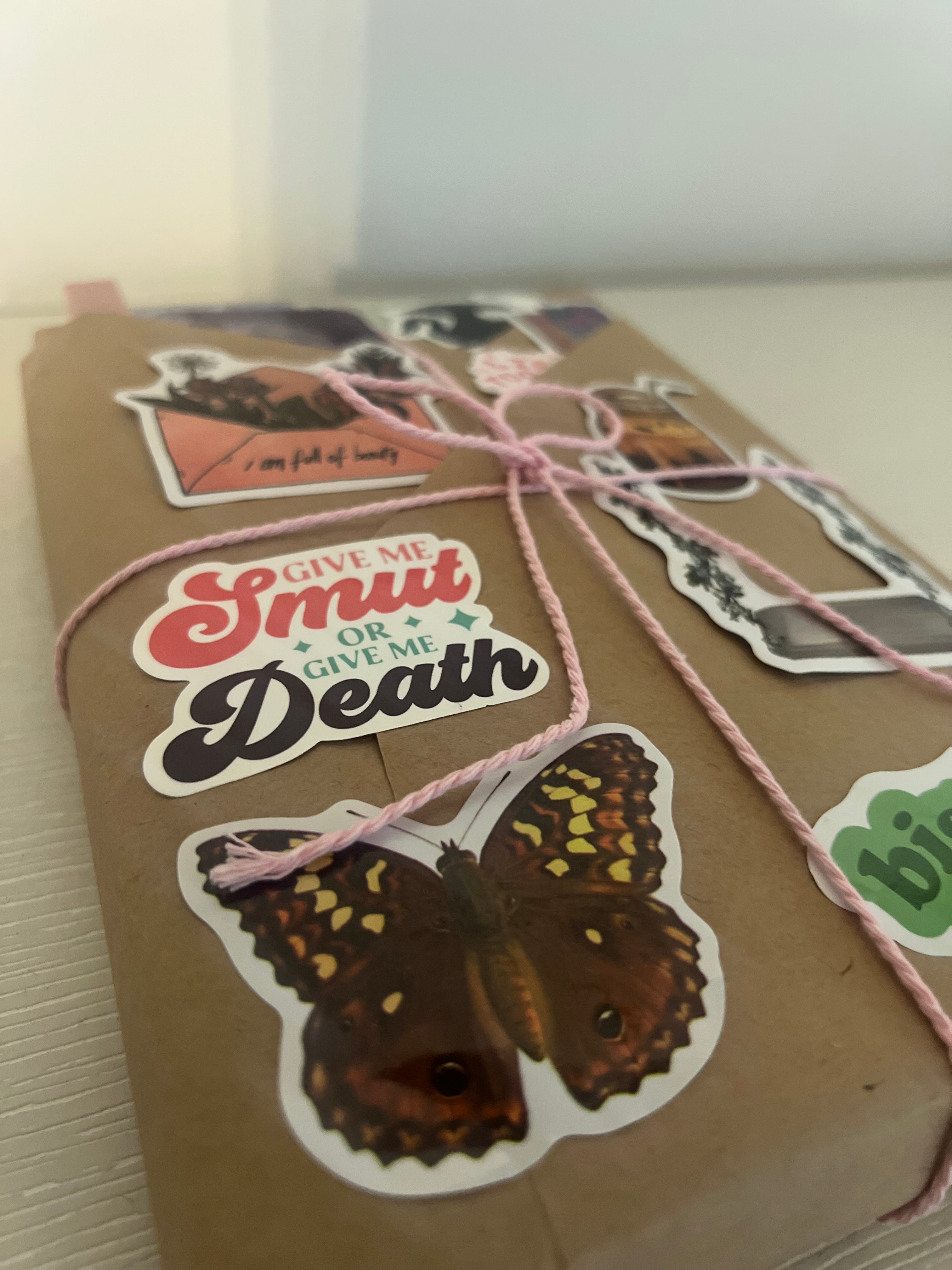 Fantasy blind date with a book