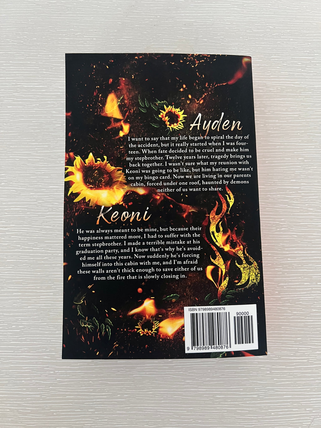 Hollow by ML Burns paperback