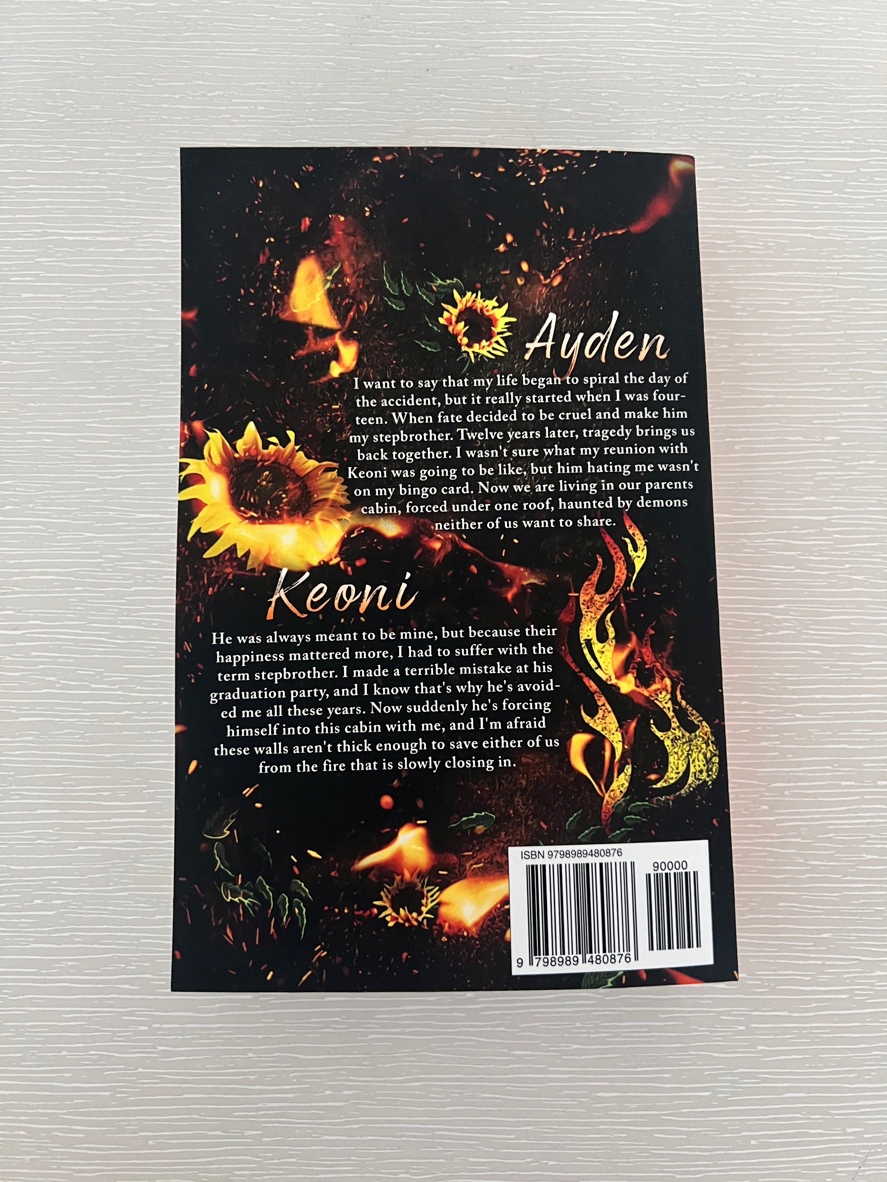 Hollow by ML Burns paperback