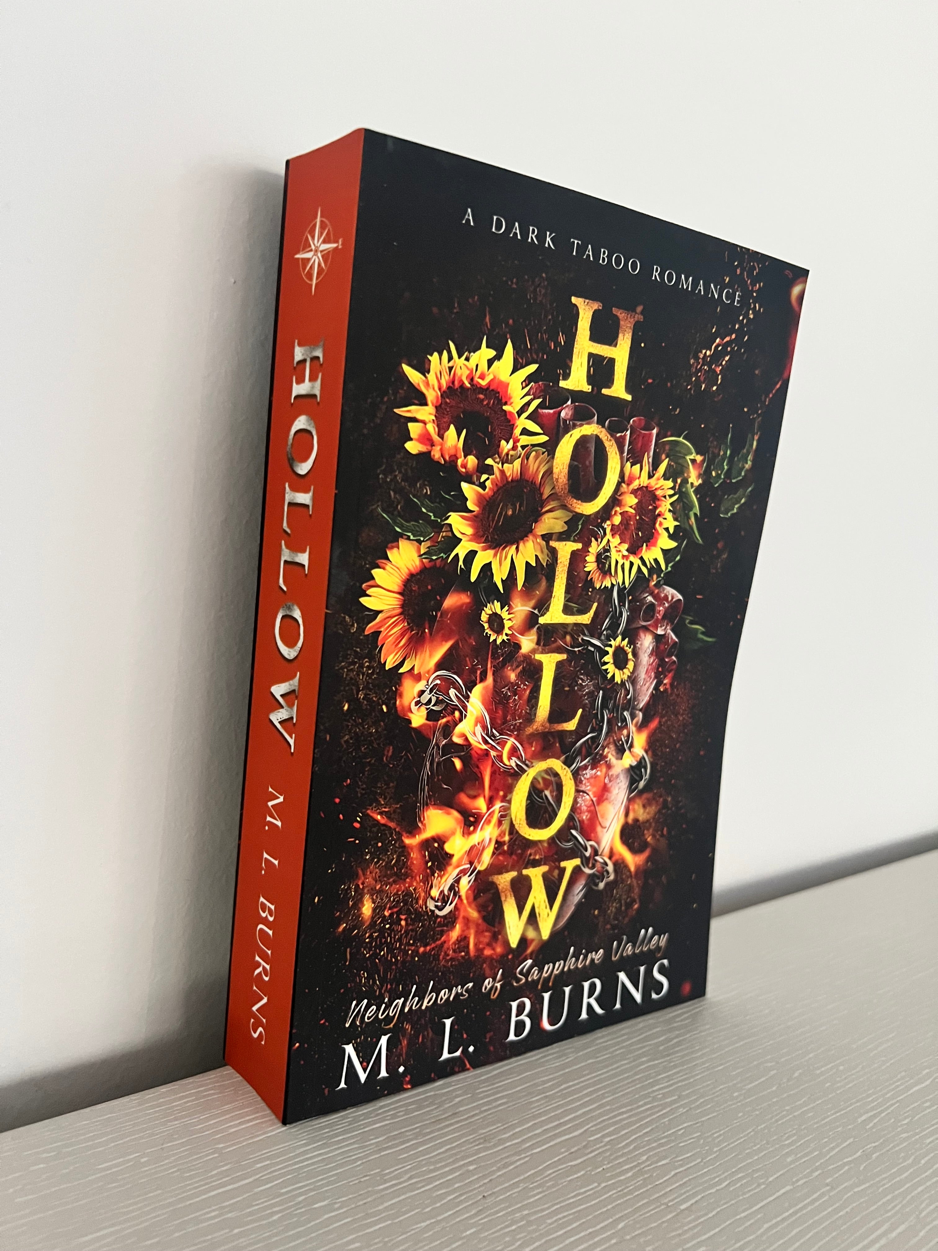 Hollow by ML Burns paperback