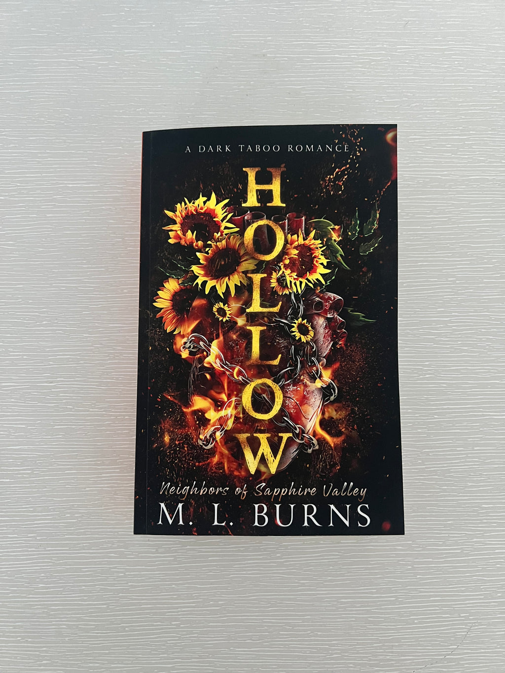 Hollow by ML Burns paperback