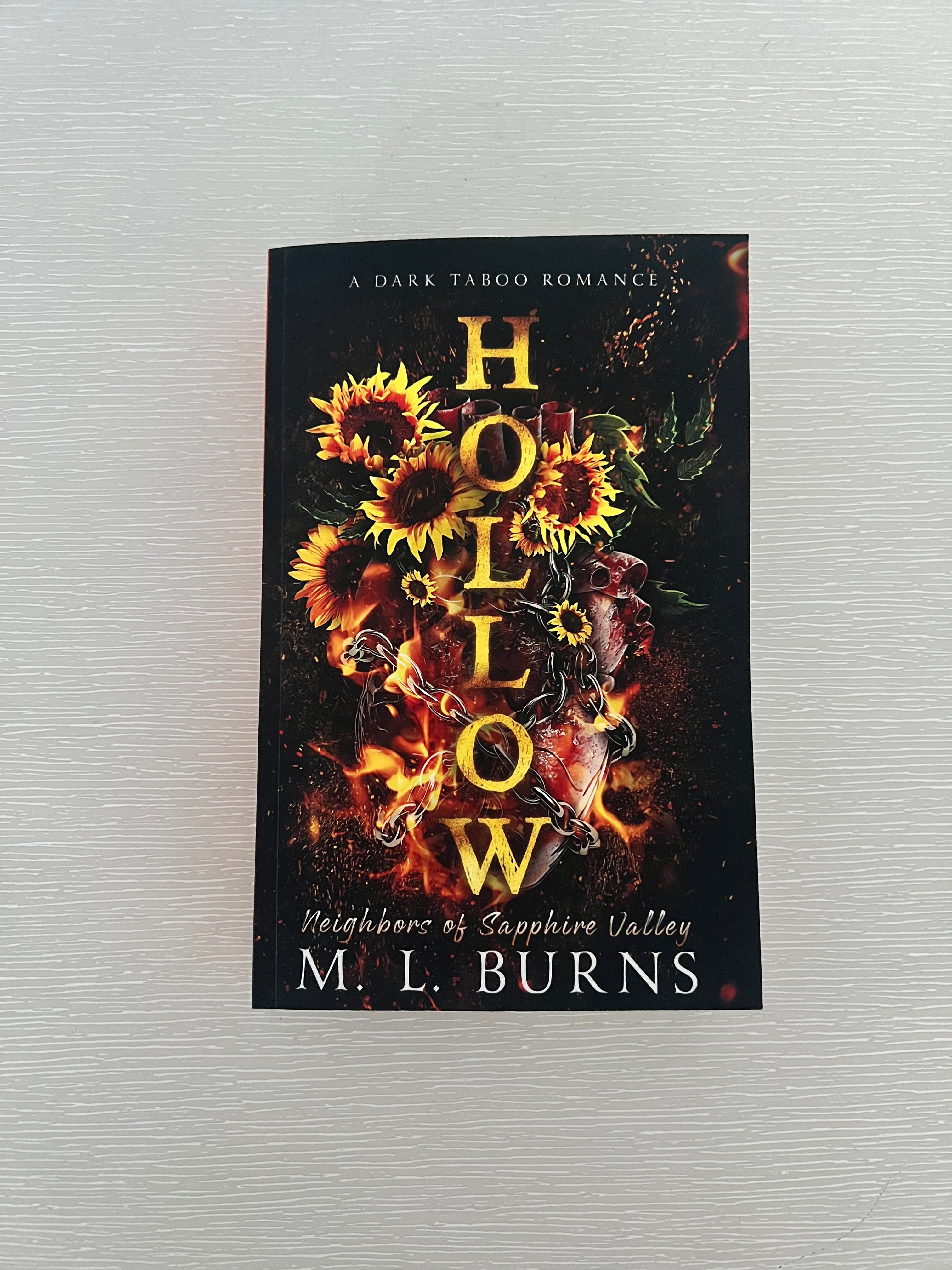 Hollow by ML Burns paperback